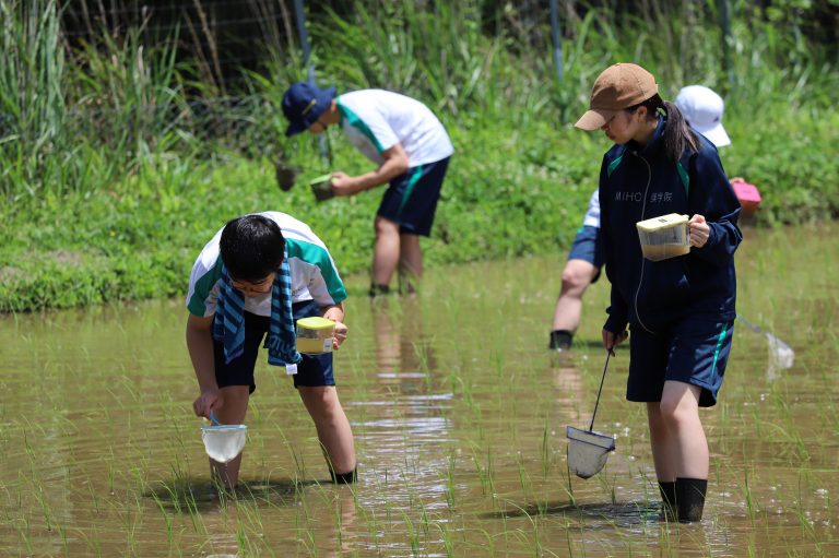 生き物調査